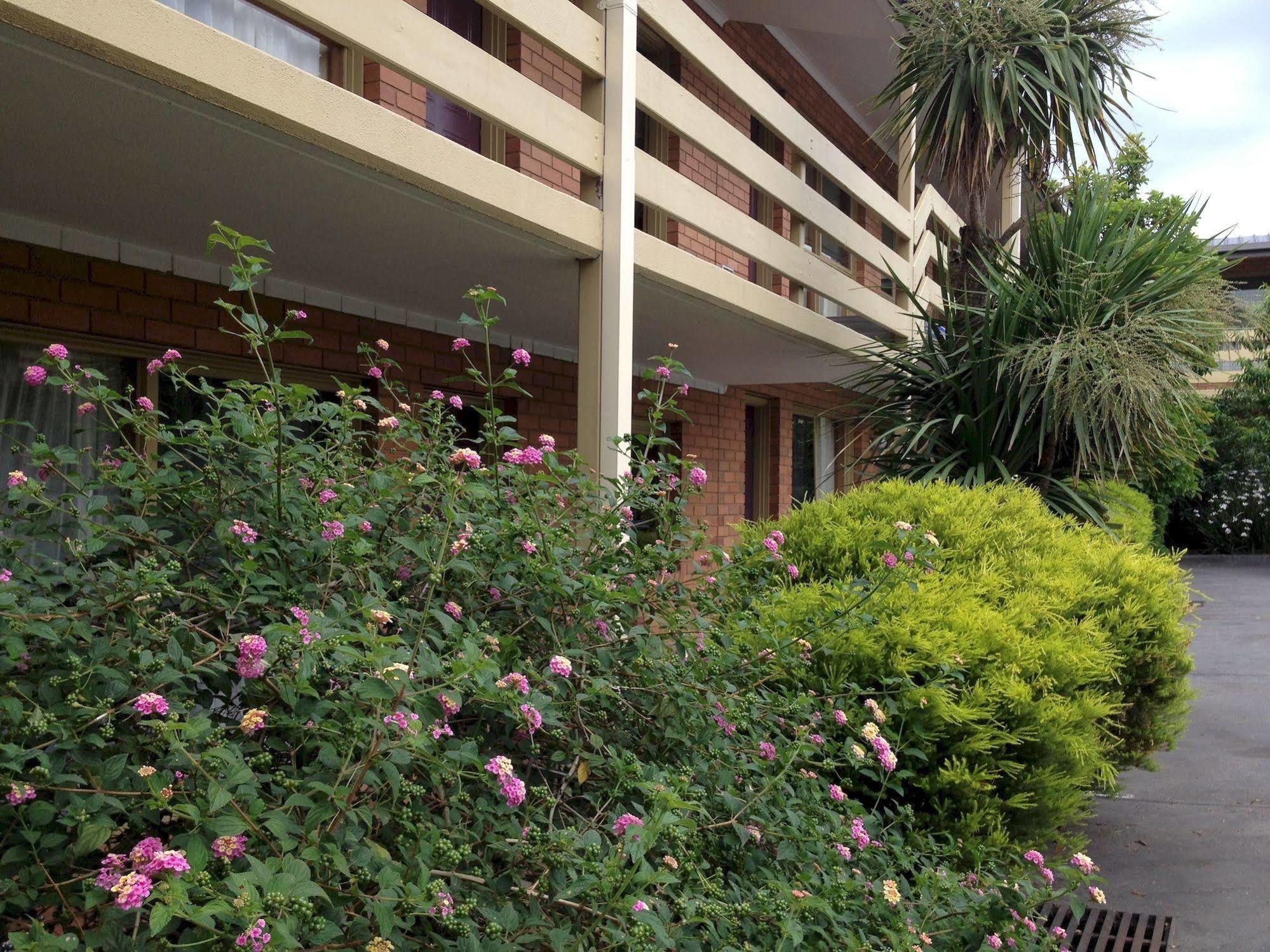 Essendon Motel Essendon North Exterior photo